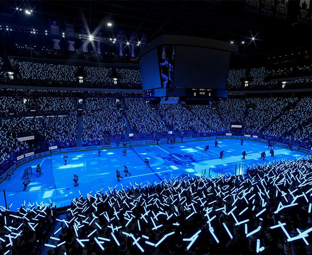 NHL-sec-img2