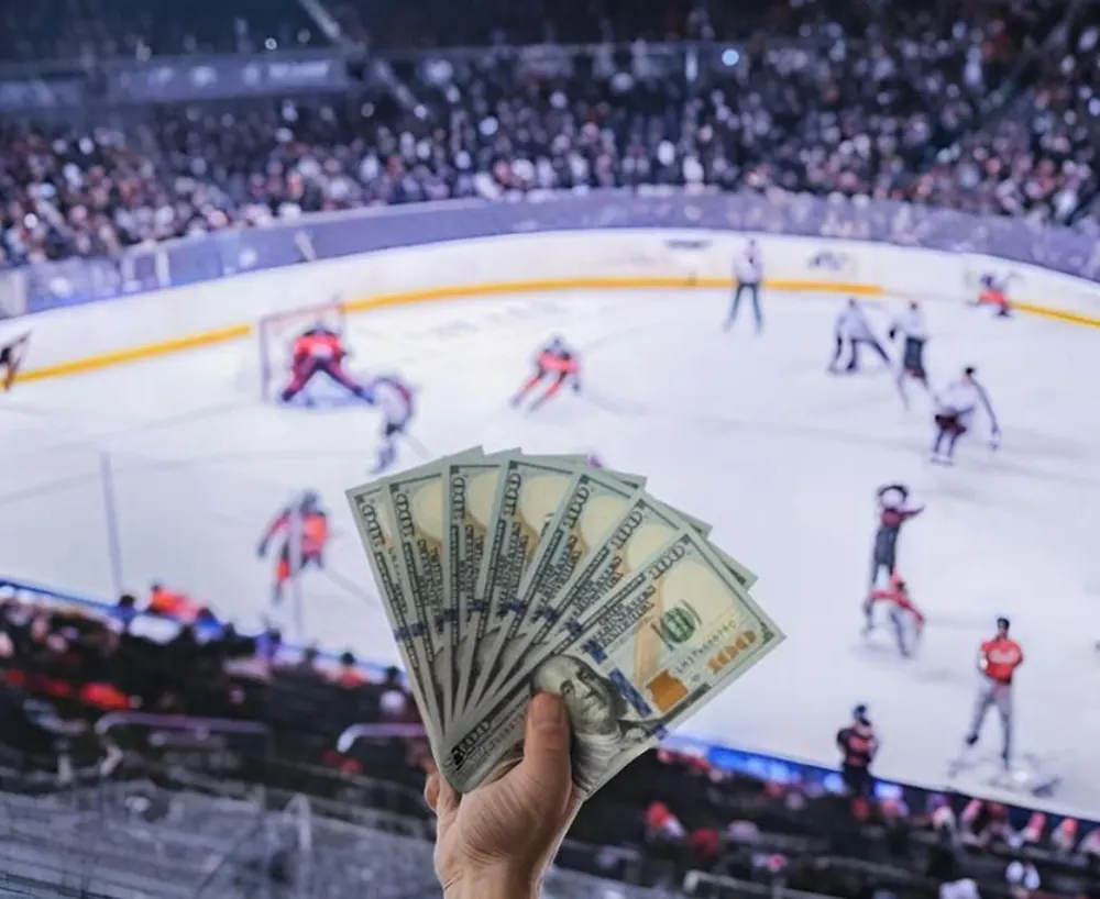 NHL-sec-img3